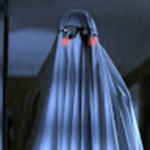 Meet your Posher, Izzy